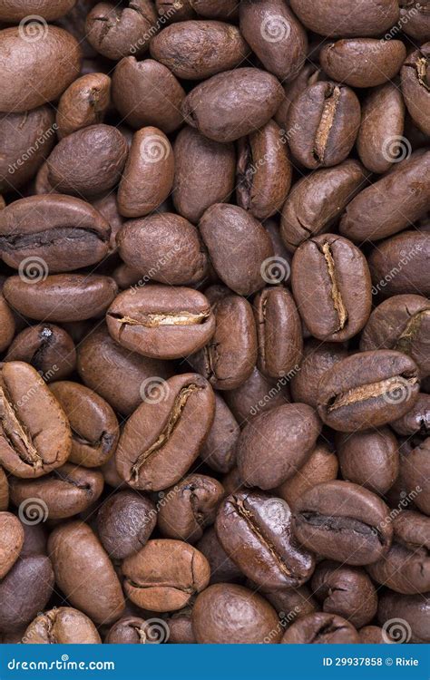 City Roast Coffee Stock Photo Image Of Java Delicious