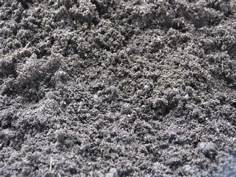 Buy Bulk Bag Ericaceous Compost - UK Garden Supplies