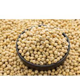 Buy Soybeans(GMO, NON- GMO)s Online from Exporters, Sellers and ...