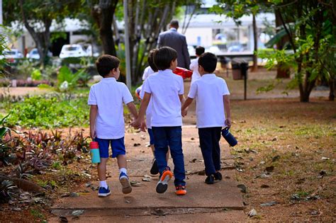Projeto de voluntariado - DEV - Colégio Altaneiro