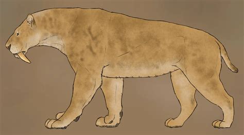 Smilodon Populator By Jakesutton7 On Deviantart