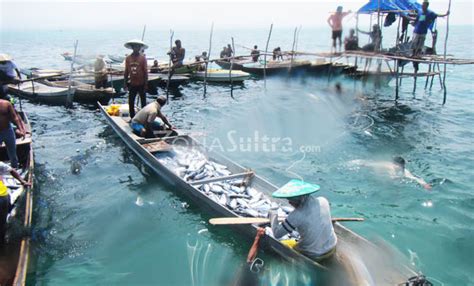 Sero Alat Tangkap Ikan Ramah Lingkungan Suku Bajo