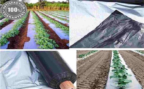 Agricultural mulch film high quality mulching film best price online