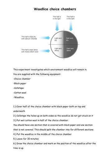 Ks3 Science Practical Investigations Part 2 Teaching Resources