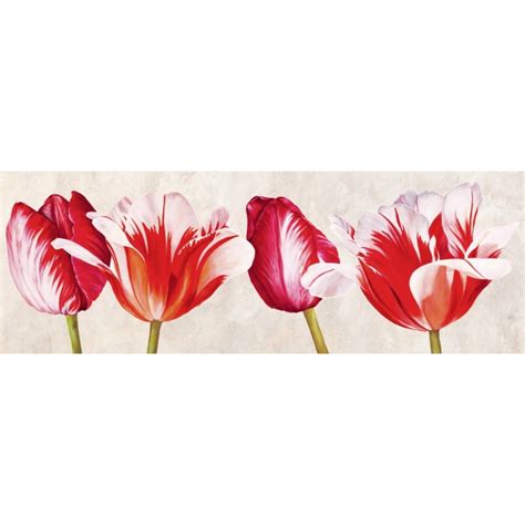 Wall Art Print And Canvas Luca Villa Happy Tulips