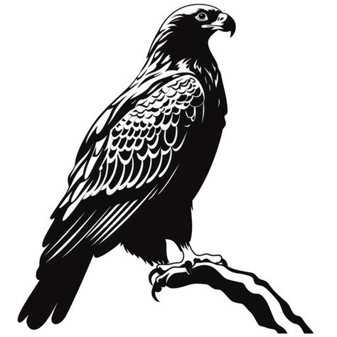 Premium AI Image | A silhouette black and white drawing of a hawk