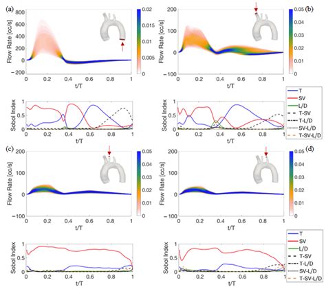 In Vitro Analysis Of Hemodynamics In The Ascending Thoracic Aorta