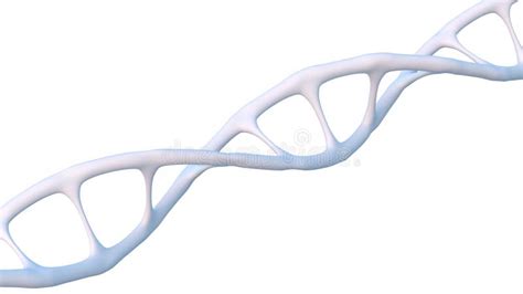 White Human Dna Structure Helix Deoxyribonucleic Acid Nucleic Acid