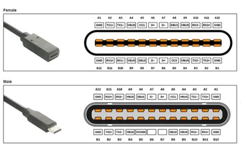 5 Usb C Pinout Diagram Rahenrosie