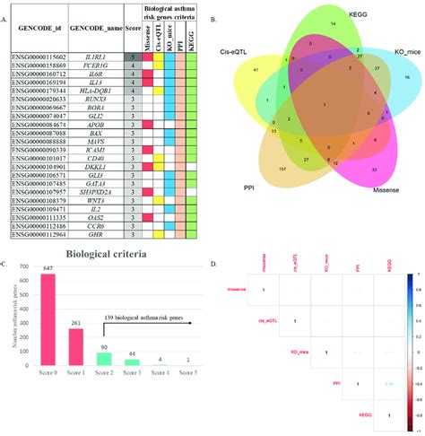 Prioritization Of Biological Candidate Gene From Asthma Risk Loci A