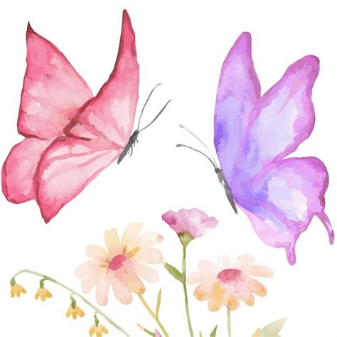 Aquarell Schmetterling Und Blumenillustration Premium Vektor