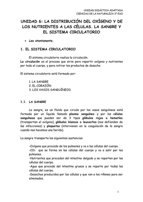 U El Sistema Circulatorio Pdf