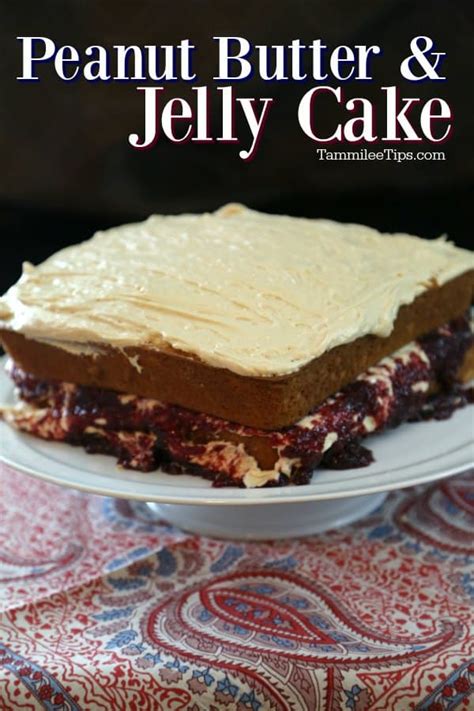 Peanut Butter And Jelly Cake Recipe Tammilee Tips