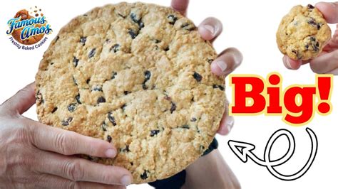 Famous Amos Oatmeal Raisin Cookie Recipe | Besto Blog