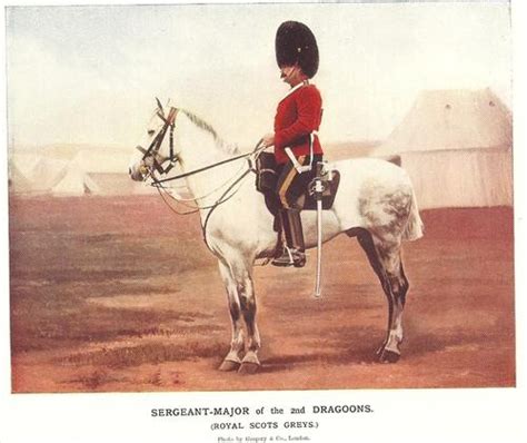 Royal Scots Greys Sergeant Major Nd Dragoons Bore War Scots