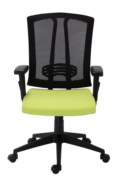 Mesh Black And Green Bluebell Riblex Ergonomic Med Back Office