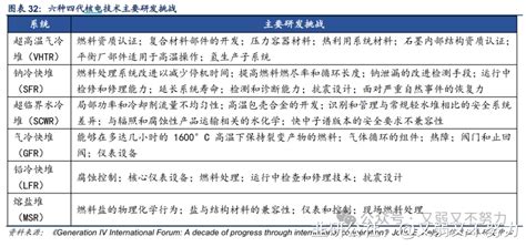 新型电力系统（二）：核电 韭研公社