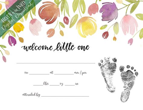 Hospital Birth Certificate Newborn Footprint Keepsake Baby Statistics