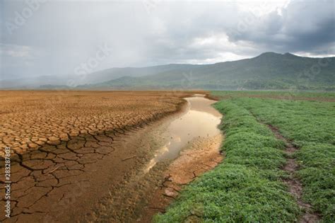 Green Grass Growing On The Dry Land After Has Rain Fall Metaphor Nature