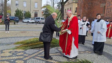 Dzi Niedziela Palmowa To Pocz Tek Wielkiego Tygodnia Galeria Zdj