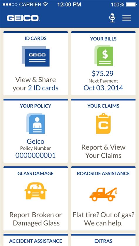 Geico Insurance Card Sample