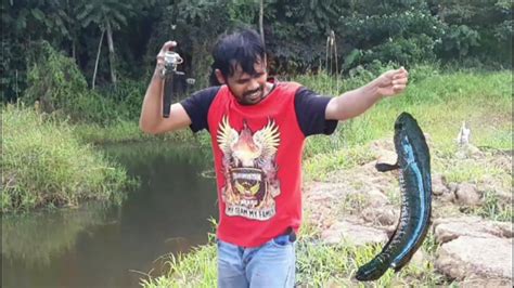 Mancing Ikan Gabus Di Rawa Spot Rawa Bekas Tambang Galian Youtube