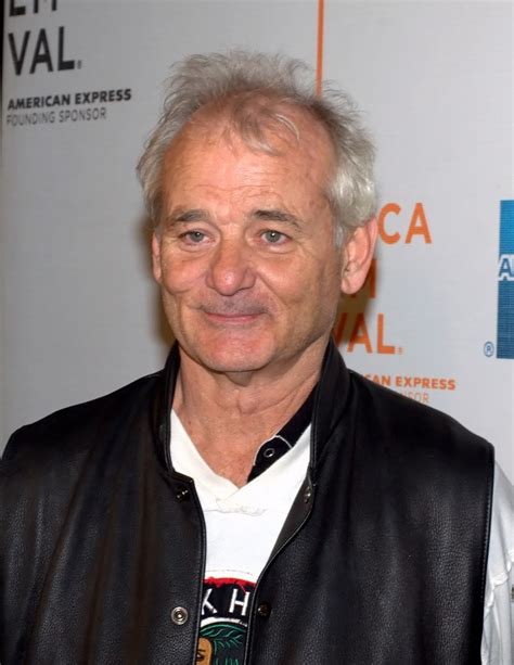 Free Picture: Bill Murray Pictures