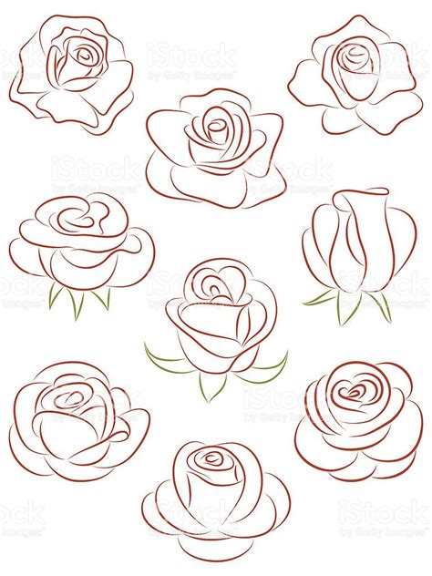 Juego De Rosas Ilustraci N Vectorial Illustracion Libre De Derechos