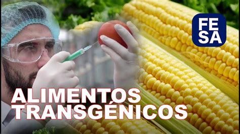 Cultivos Transgénicos Ventajas Y Desventajas