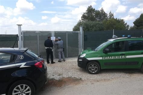 Taranto Lavori Abusivi Forestali E Polizia Locale Procedono Al