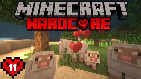 Let S Play Hardcore Minecraft Episode 11 Sheep Time No Commentary