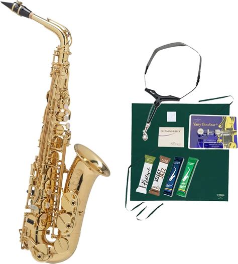 Amazon Selmer Alto Sax Axos 2nd Generation セルマー アルトサックス アクソス サックス 楽器・音響機器