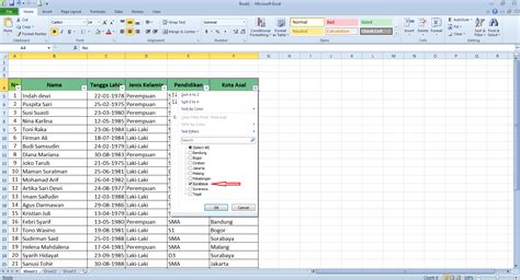 Cara Membuat Filter Data Di Excel Hongkoong