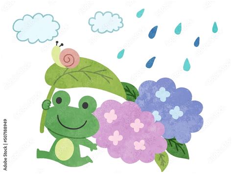 梅雨・雨の日の紫陽花とカエルのイラスト素材 Stock ベクター Adobe Stock