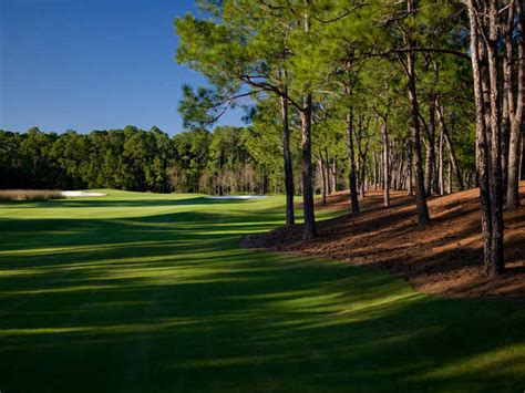 Tranquilo Golf Club At Four Seasons Resort Of Orlando Florida Golf