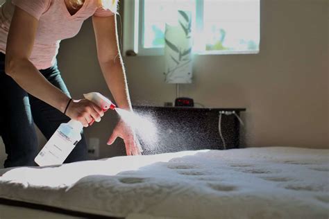 How to Clean Your Mattress - Lucid