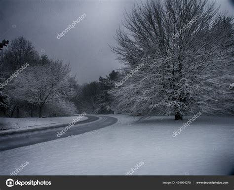 Snowy Winter Road Trees Stock Photo by ©rolffimages 491994370