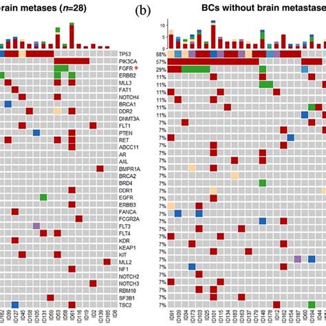 Circulating Tumor Dna Gene Mutation Profiles For Matched 28 Brain