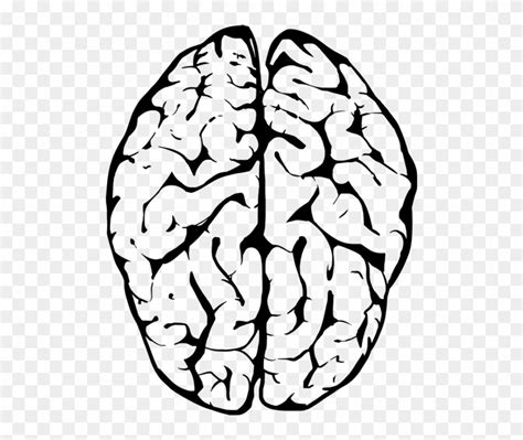 Svg Cerebrum Psychology Neurology Medical Free Image Transparent