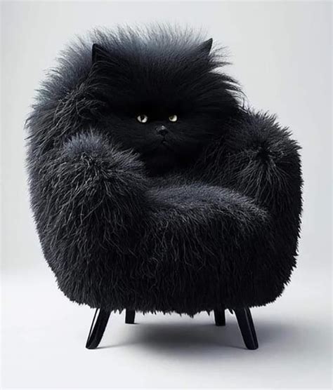 Cat Chair Cozy Furniture For Your Feline Friend