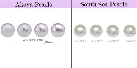 Akoya Pearls Vs South Sea Pearls Exploring The Differences And