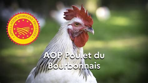 Le Poulet du Bourbonnais enregistré en AOP YouTube