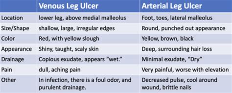 Cardio Clin Med Exam Flashcards Quizlet