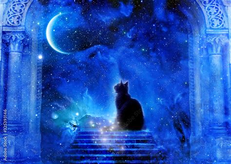 Cat Sitting On Mystical Stairs Looking At Mystic Universe And Planet