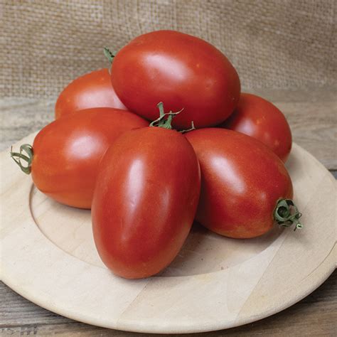 Tomato Mariana Hybrid Tomato J W Jung Seed Company