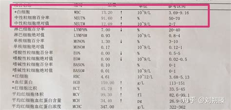 血常规报告怎么看？一分钟学会 知乎
