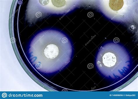 Testes De Droga Da Microbiologia Foto De Stock Imagem De Amostra