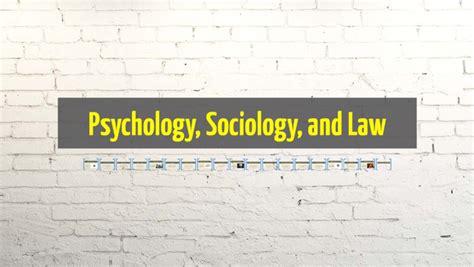 Psychology Sociology And Law By Hannah Lucas On Prezi