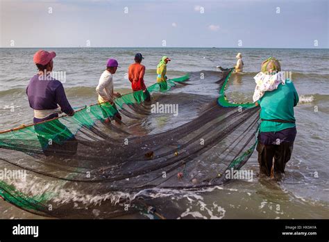 A Group Of Filipino Fishermen Haul Their Seine Fishing Net To Shore