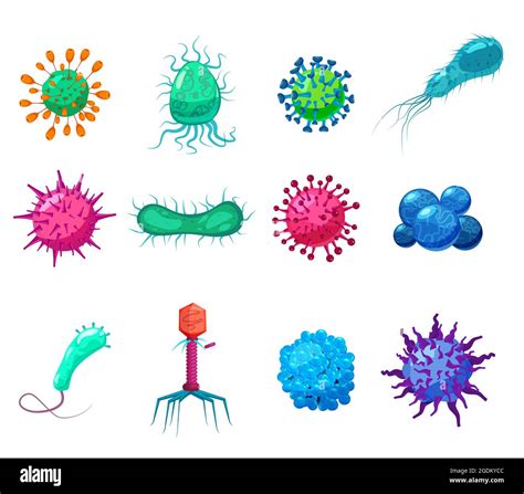 Types Of Fungi Microorganisms